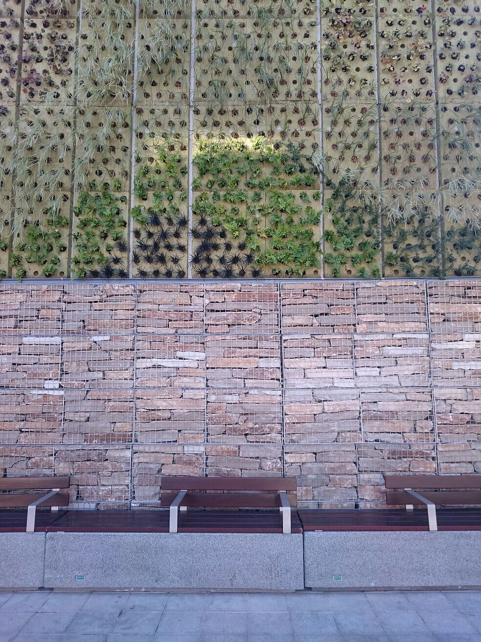 Jardín vertical
