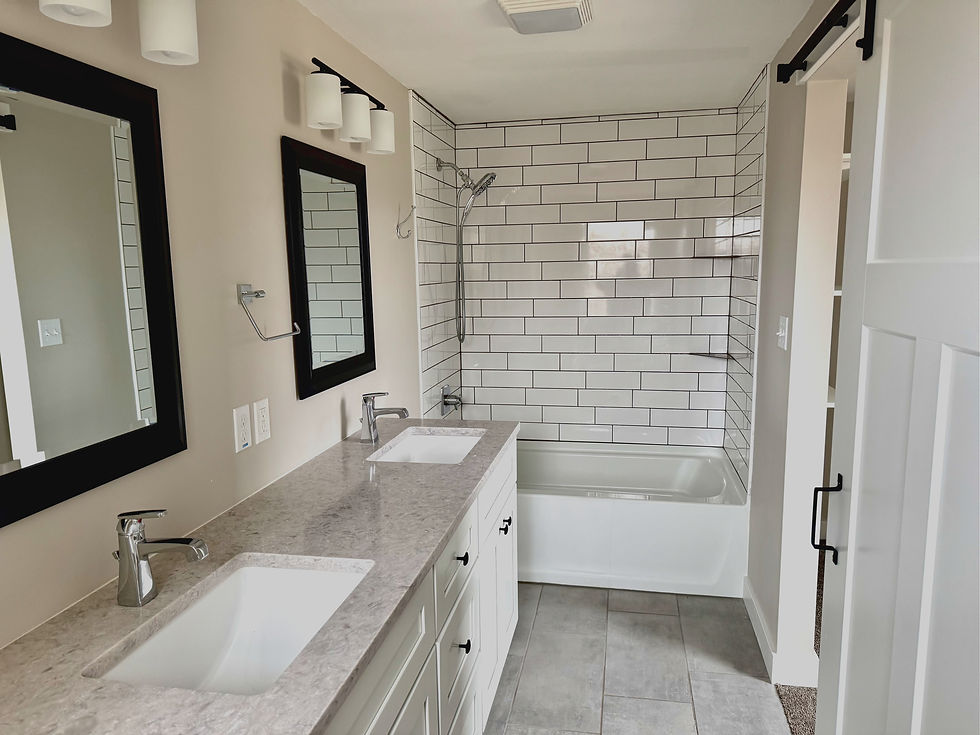 Bathroom Remodel_edited.jpg
