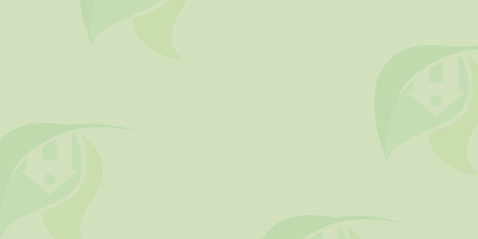 KISTEN HERBALS BG2.png