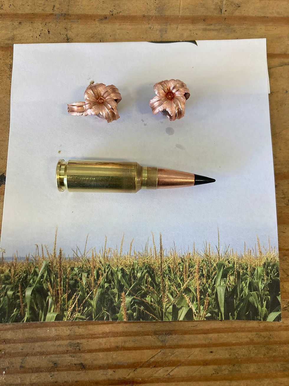 30 WHITETAIL