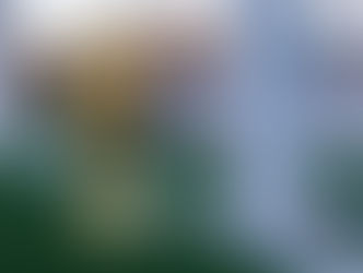 שלושה מאצטדיוני הכדורגל של מונדיאל קטאר 2022