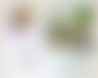 Encore quelques jours pour réserver !