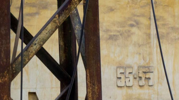 rue 55