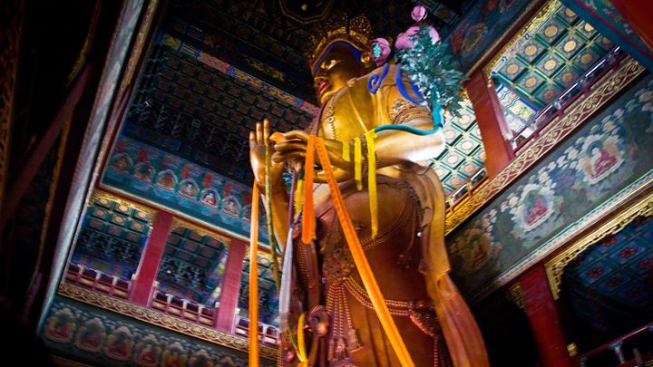 massive buddha abou 30 meters high made out of one solid tree