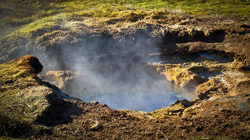 golden circle trip with luke as tourguide - iceland