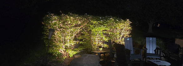 landscape lighting 4.jpg