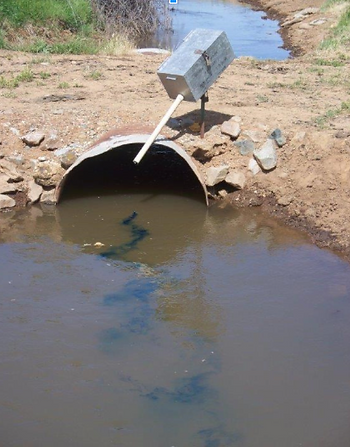 One of 62 sites where NID drips aquatic herbicides