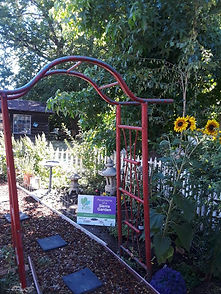 Cathleen's garden.jpeg