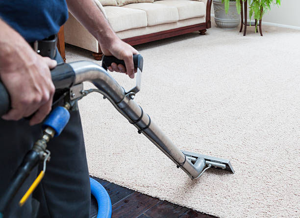 Why Our Carpet Cleaning Delivers What Others Don’t