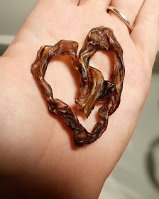 Mt. Pleasant Student Midwife | Holistic Doula | Placenta Encapsulation | Mt. Pleasant, MI | The Warrior Within Birth Services