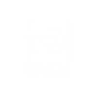 DS-Logo-White.png