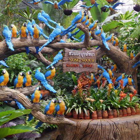 Nong Nooch tropical garden - Photos du jardin tropical