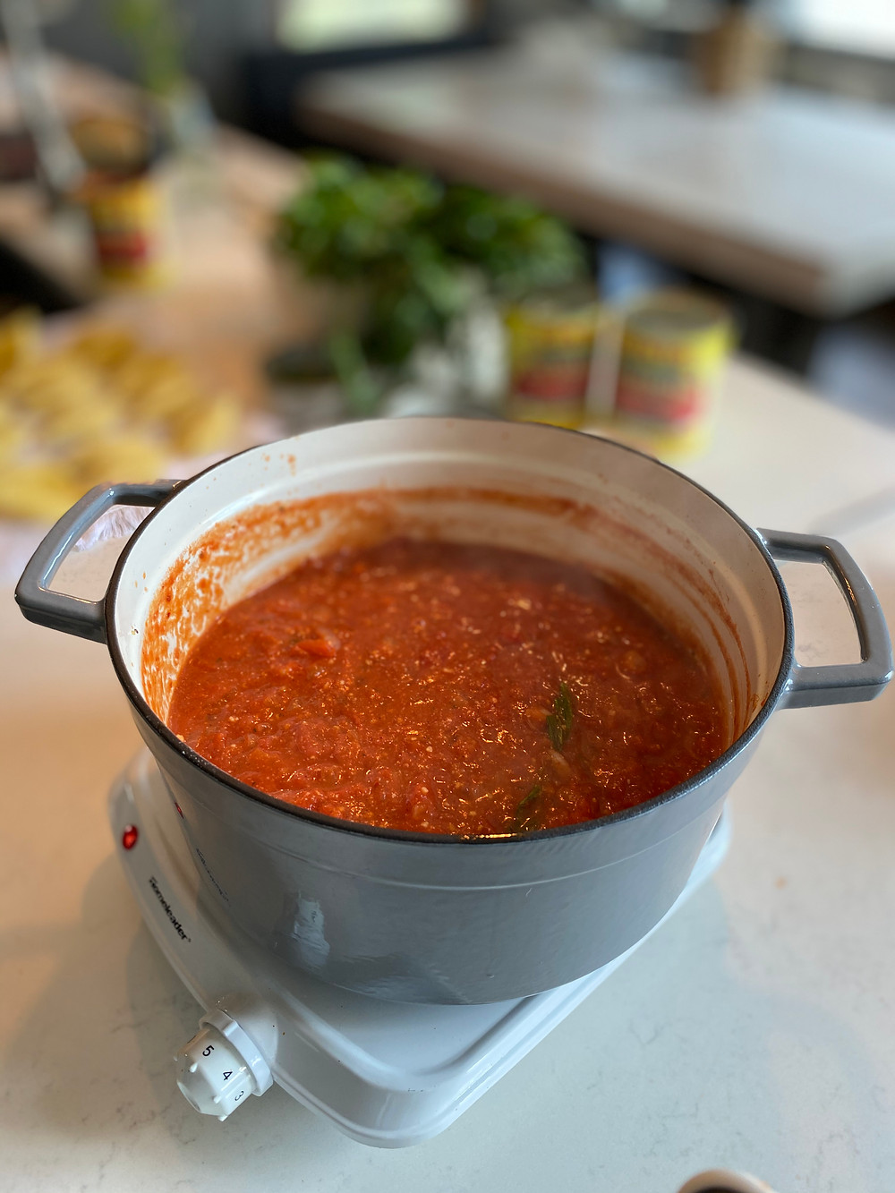 Homemade Tomato Sauce with San Marzano Tomatoes
