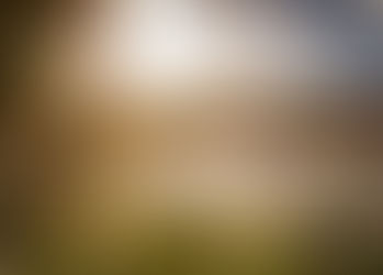 Winters Barn Wedding photographer - Roxanne & Shaun