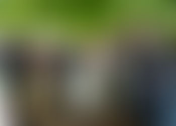 Katie & Ben’s Rustic Woodland Wedding at The Dreys - The Dreys wedding Photographer