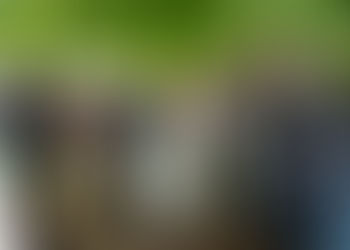 Katie & Ben’s Rustic Woodland Wedding at The Dreys - The Dreys wedding Photographer