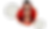 Moni.png