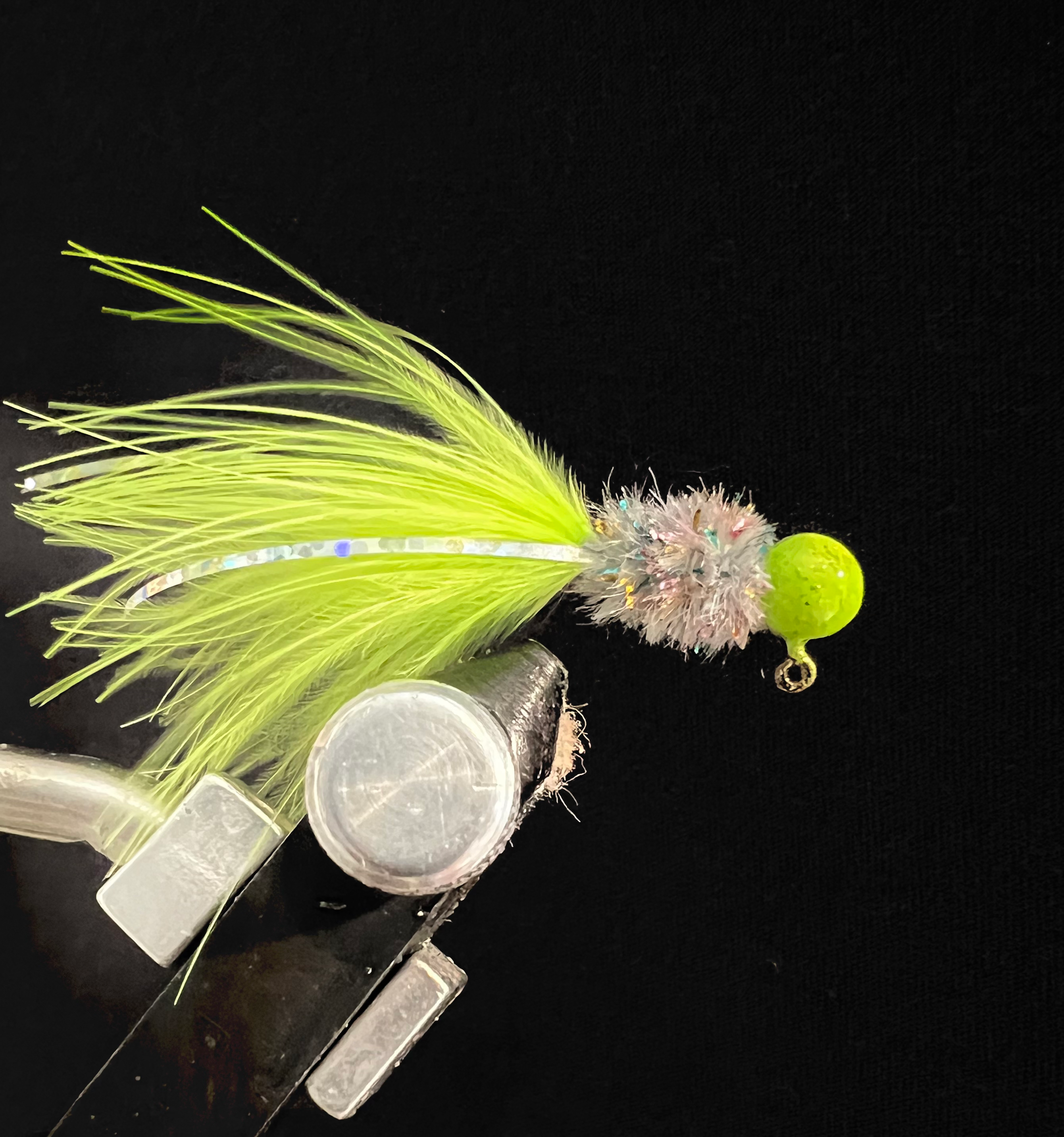 Chartreuse rainbow shiner  - 91