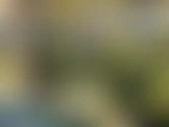 PALMARIA | NEUTRAL BAY is a six-residence harbourfront development positioned directly above Hayes Street Beach.