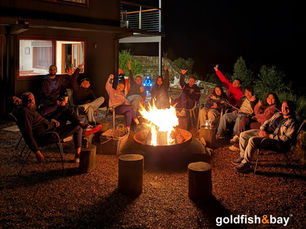 GOLDFISH & BAY | OFF THE GRID