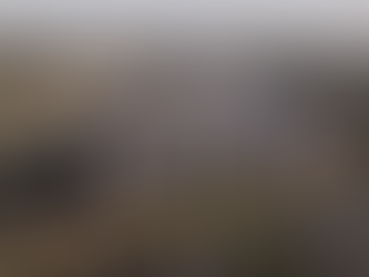 TALLAWONG VILLAGE | Precinct Approaching Completion