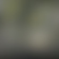 THIS MONTH IN ENGINEERING | Apple Park