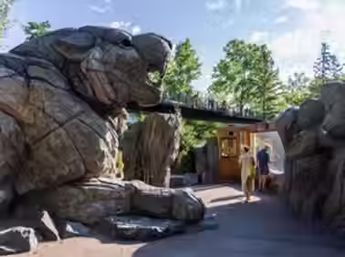 Zoo - f3dec5_b605526766474d929c4dac4cf78ebd54~mv2.avif