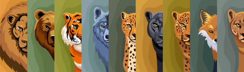 Zoo - gettyimages-2024475998-612x612.jpg