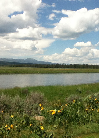 The Prairie.JPG