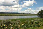 IMG_0953.JPG