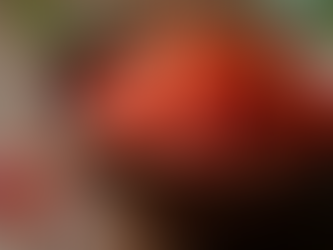 Discover the World of Spicy Chili Sauces in Indian Cuisine