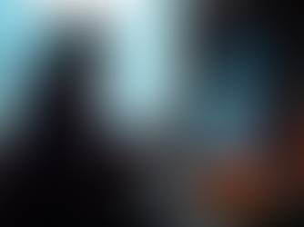 From Street Food to Kitchen: Recreating Chili Parotha and Other Fiery Classics