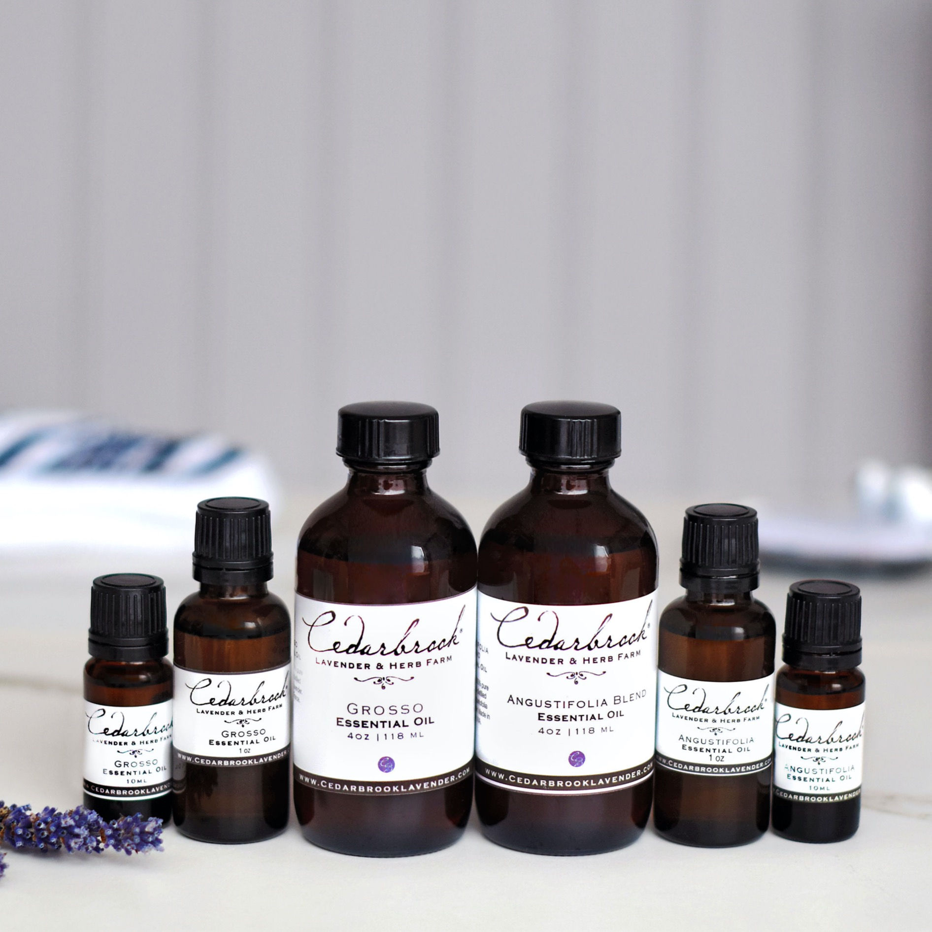 Angustifolia Lavender Blend Essential Oil