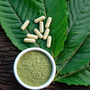 Desvende os Segredos do Kratom Mitragyna speciosa em Pó