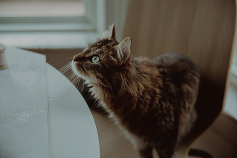 Minimalist Simple thank card landscape.png