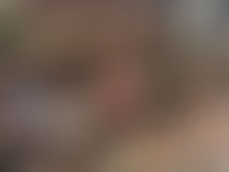 DEAD OCTOPUS, MCTRASH, AND A MYSTERY BANDIT: WHAT’S REALLY GROWING IN BARRY’S URBAN GARDEN?