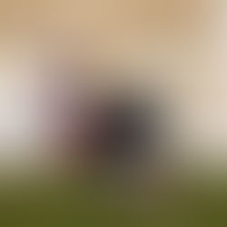 BARRY UNIVERSITY EXPANDS ATHLETICS WITH MEN'S AND WOMEN'S LACROSSE