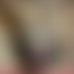 Mirroring Society on Stage: The Fine Arts Department Proudly Presents “Animal Farm”