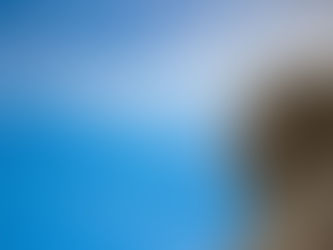 MLK ASSASSINATION FILES TO BE RELEASED