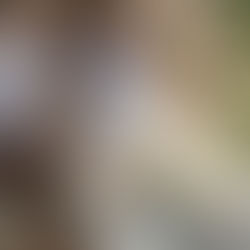 The 10 Best Books to Get Lost in This Summer