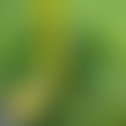 I3 Engineering - PHMSA MEGA Rule