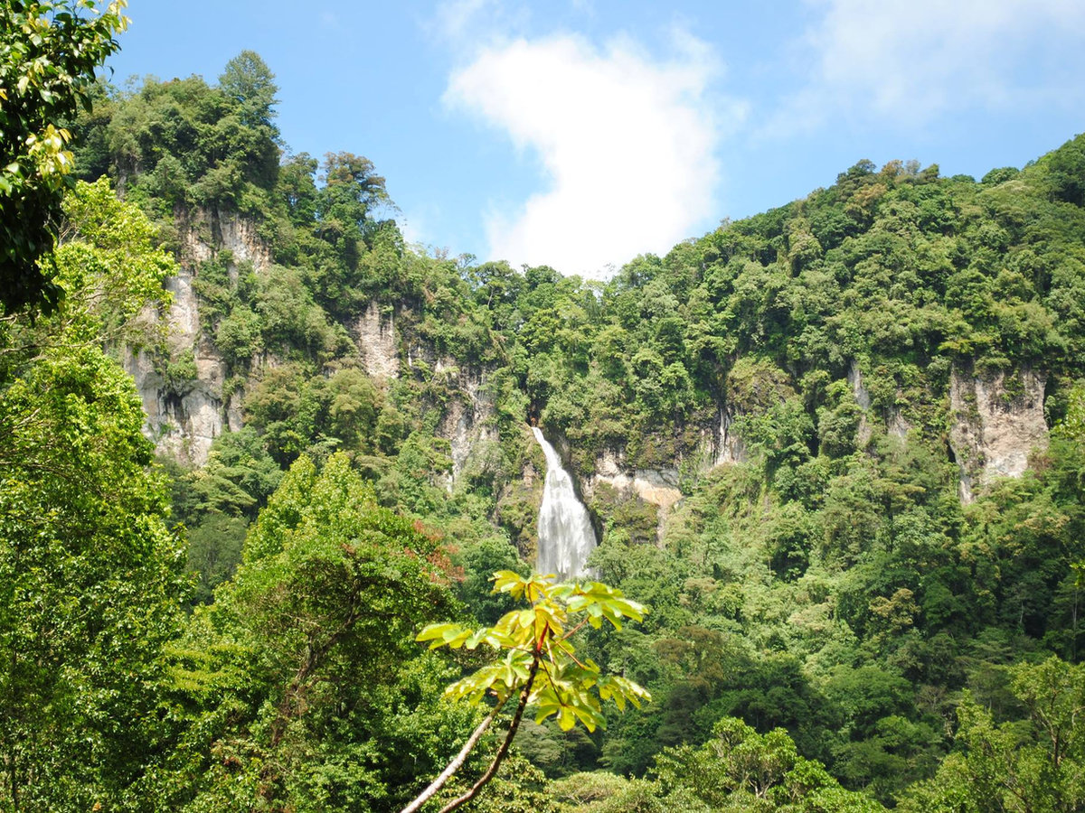 Forested cliffs and waterfall at Macizo de Peñas Blancas