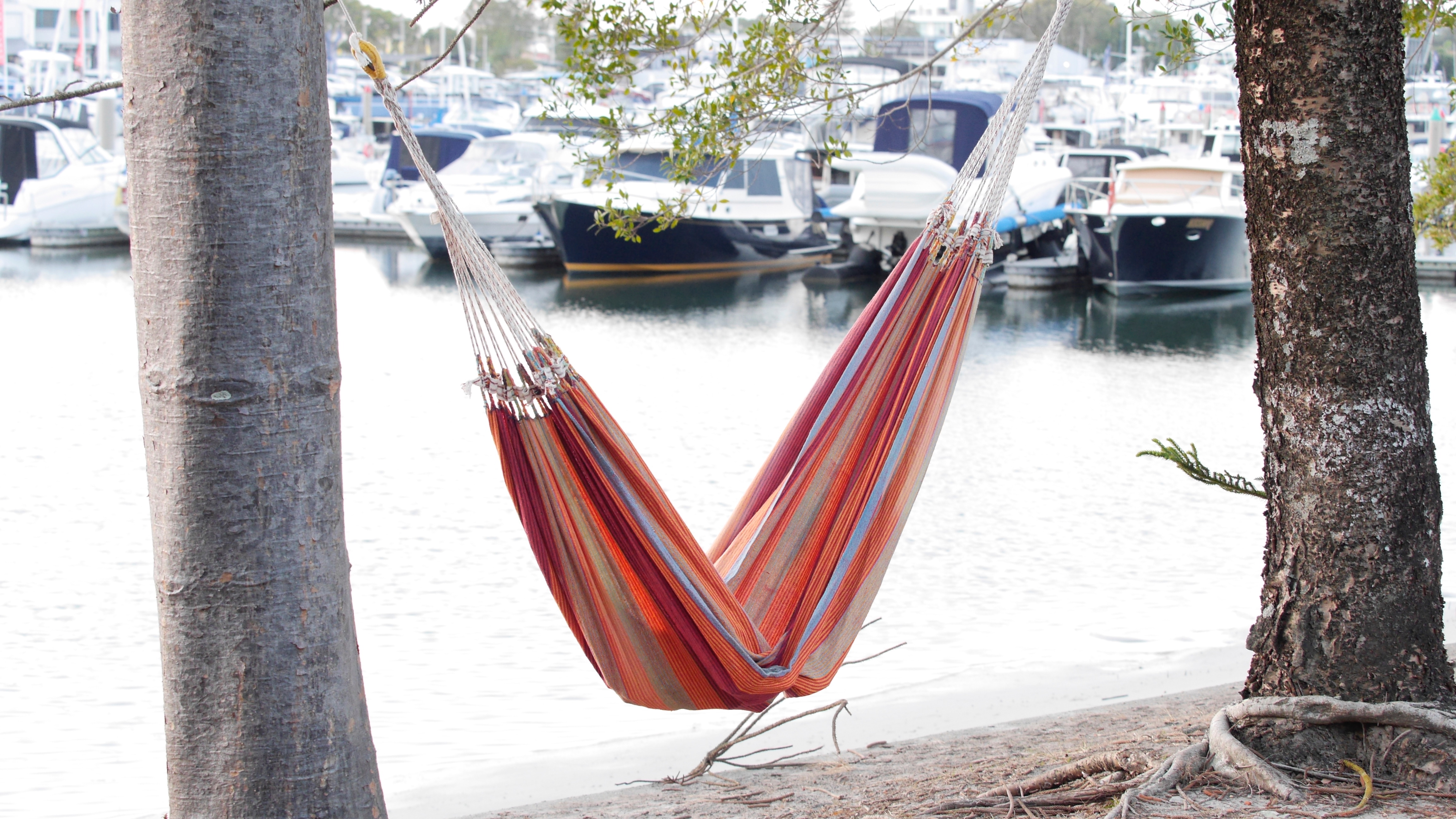 Hammock