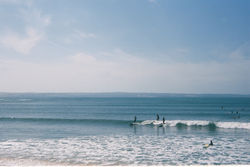 F003850-R1-22-12A