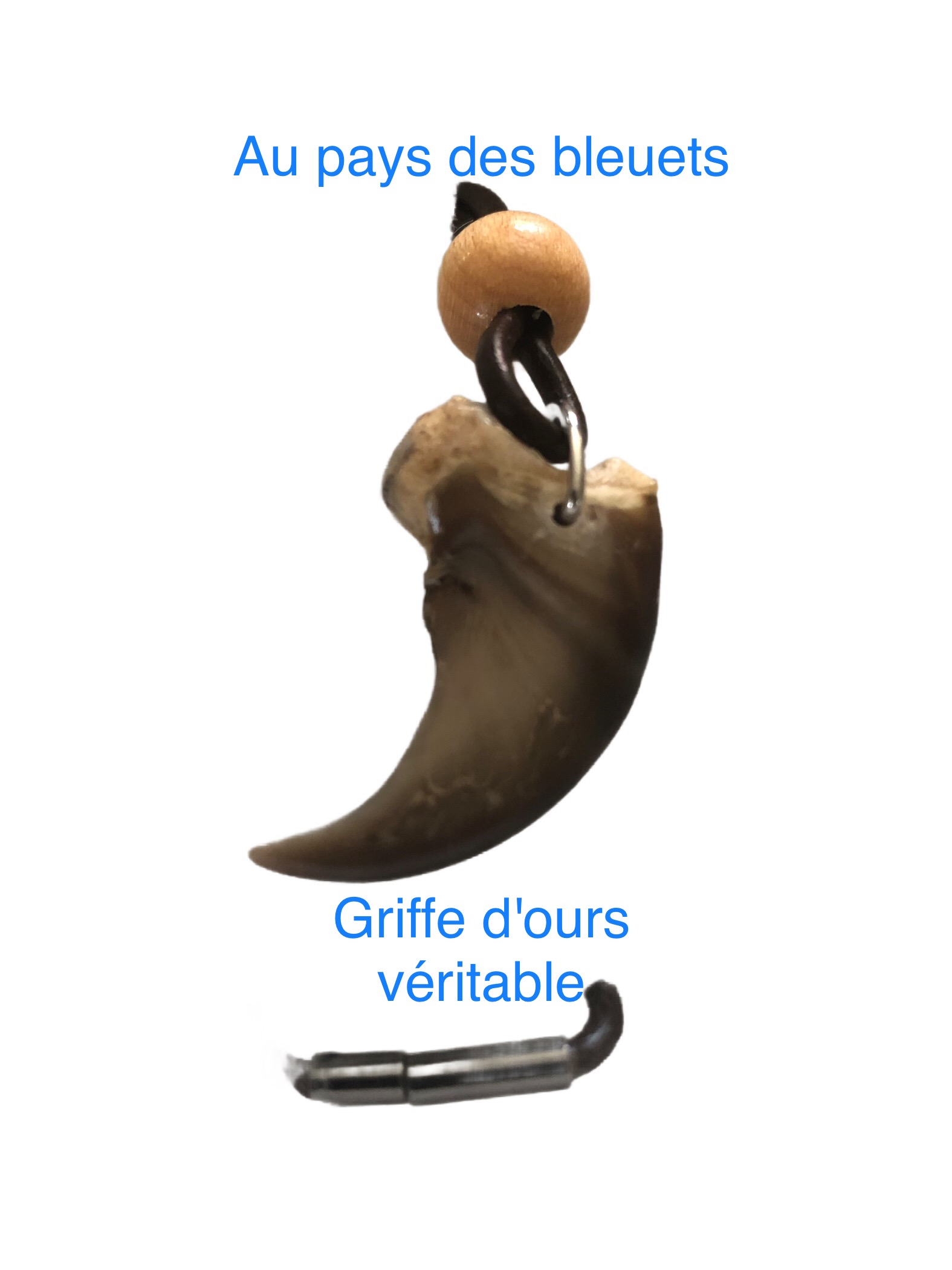 Collier Griffe d'ours