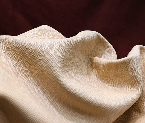 Corvallis Radiant Yellow Color Graded.jpg