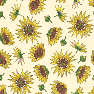 watermarkWild flowers .png