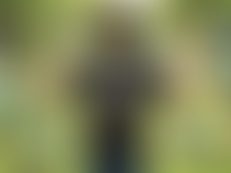 Squirrel brain ADHD symptoms