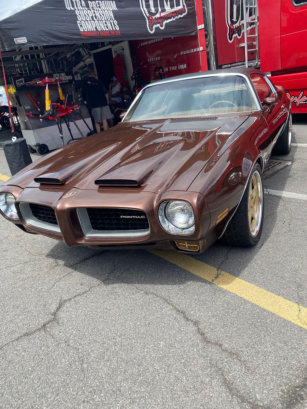 A brown 1970s Firebird from the front, fitted to race.