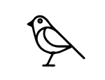 bird.gif